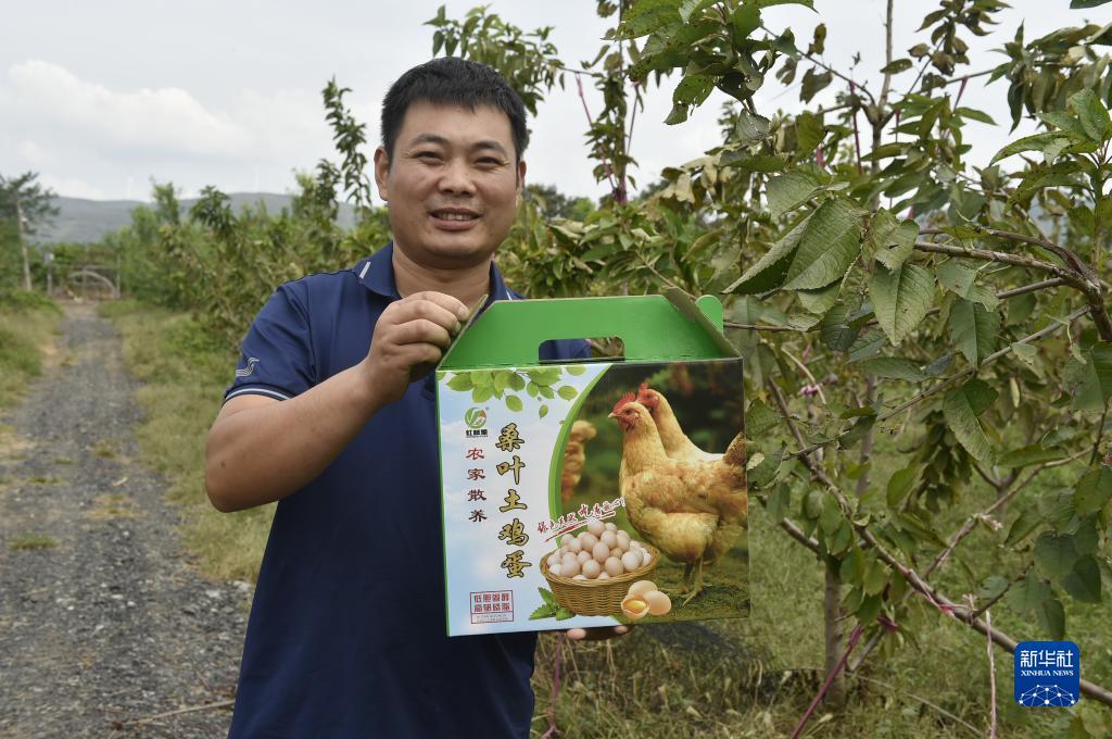 捕鱼大作战电脑版下载